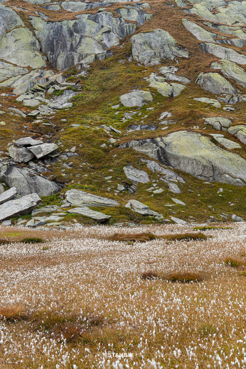 Hochalpine Moorlandschaft am Gotthardpass mit Wollgras, kleinen Wasserflächen und felsigen Hängen unter bedecktem Himmel.