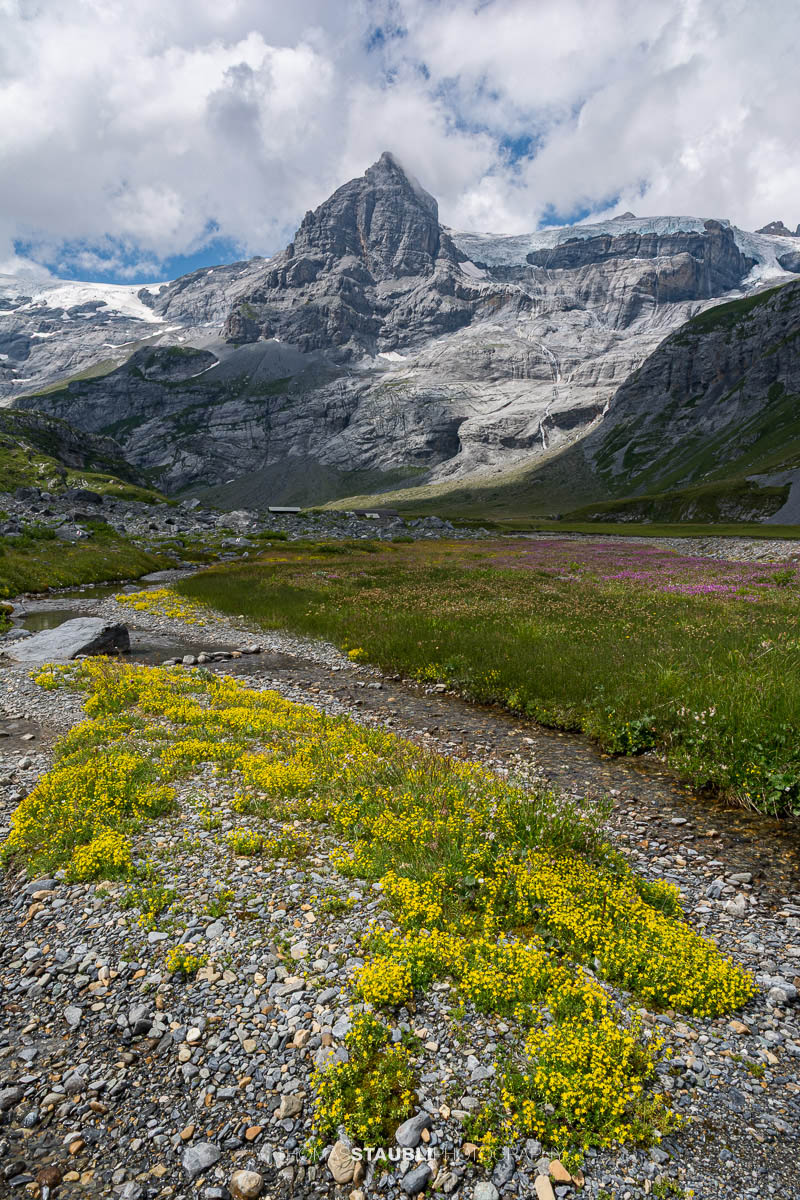 Alpine Blumenwiesen und Bachlauf auf der Alp Ober Sand im Kanton Glarus; im Hintergrund der markante Spitzalpelistock, rechts davon der Claridenfirn, umgeben von Felswänden und Geröllhängen.