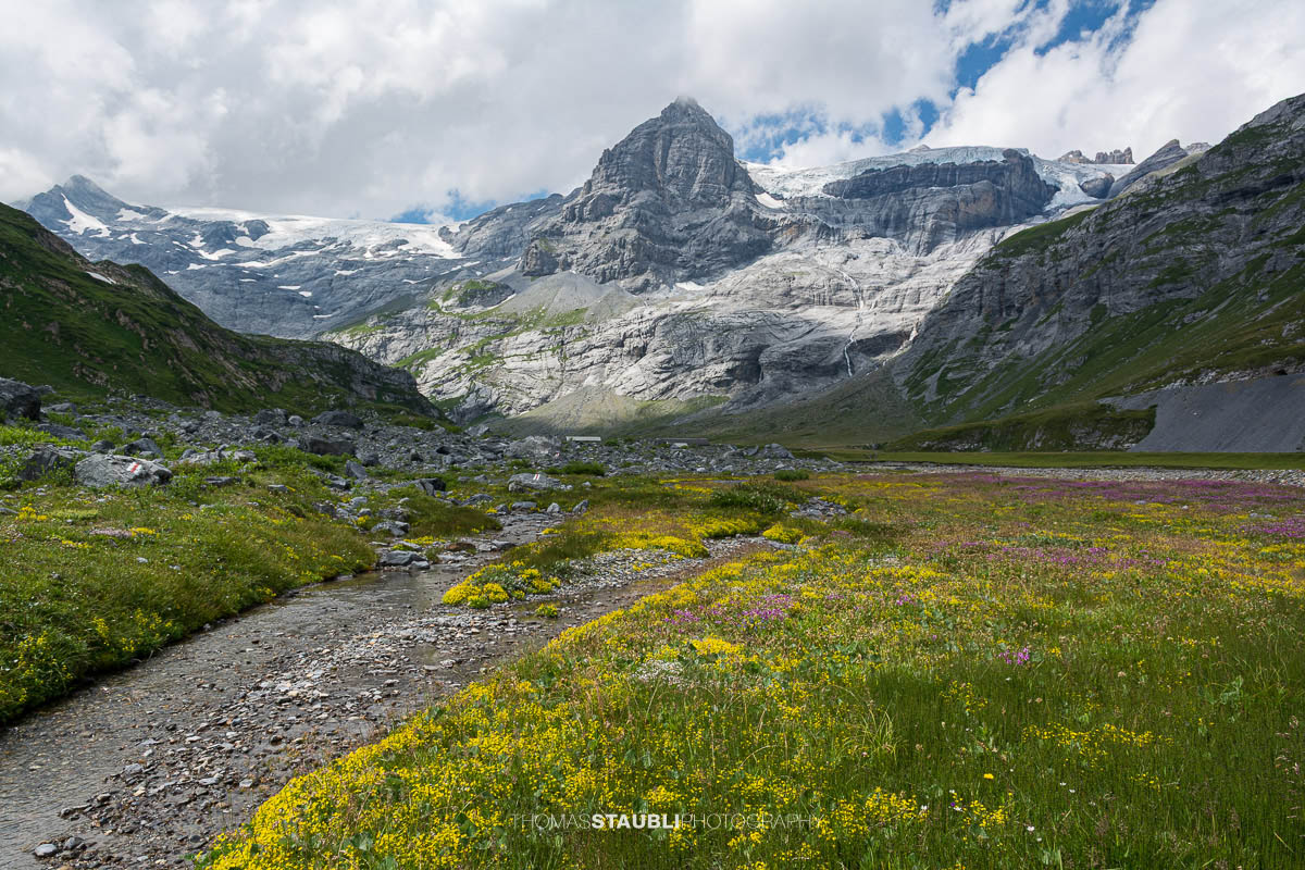Alpine Blumenwiesen und Bachlauf auf der Alp Ober Sand im Kanton Glarus; im Hintergrund der markante Spitzalpelistock, rechts davon der Claridenfirn, umgeben von Felswänden und Geröllhängen.