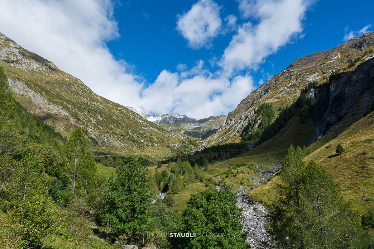 Der Bach Brenno della Greina fliesst durch ein alpines Seitental im oberen Bleniotal, umgeben von steilen Berghängen und alpiner Vegetation.