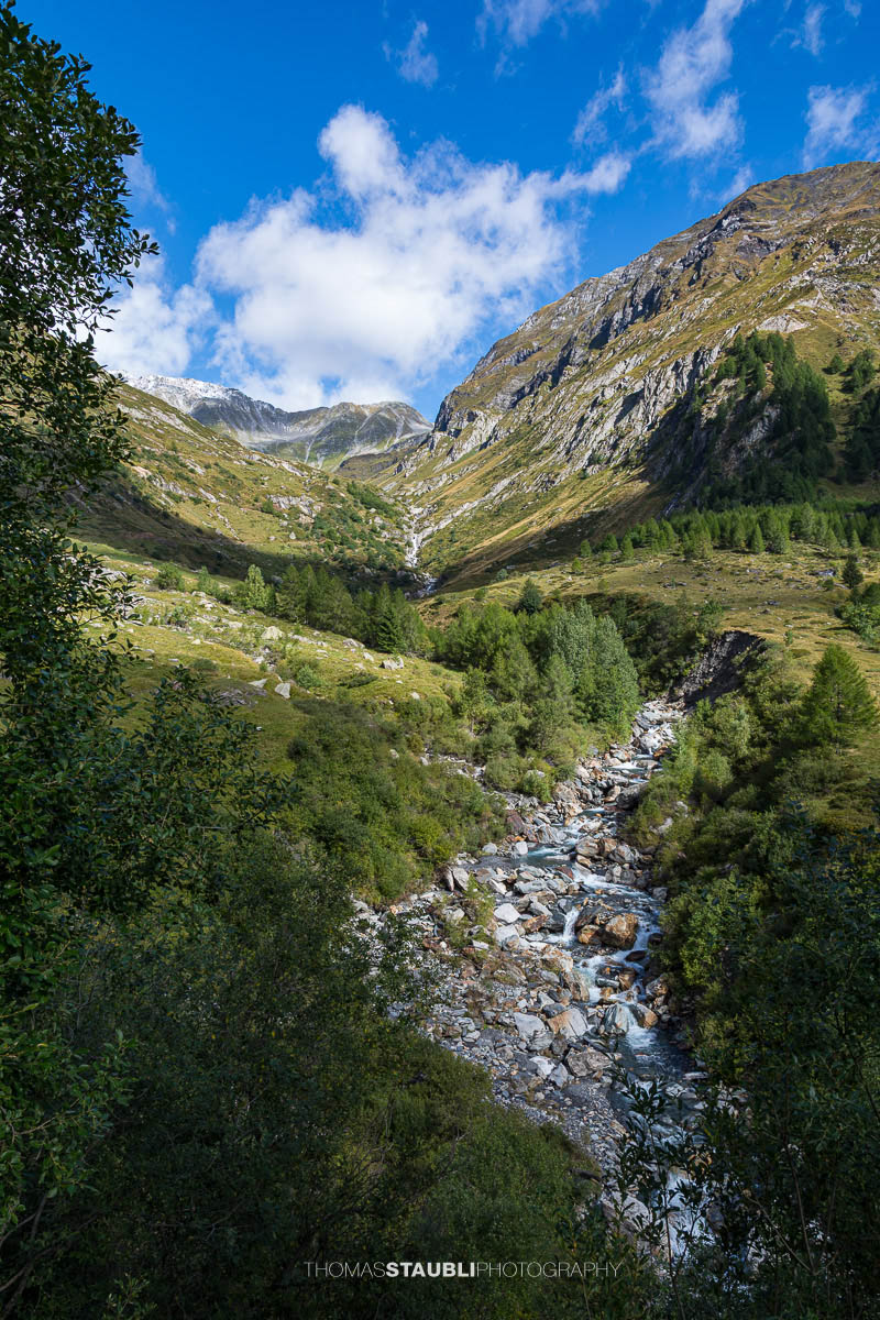 Der Bach Brenno della Greina fliesst durch ein alpines Seitental im oberen Bleniotal, umgeben von steilen Berghängen und alpiner Vegetation.
