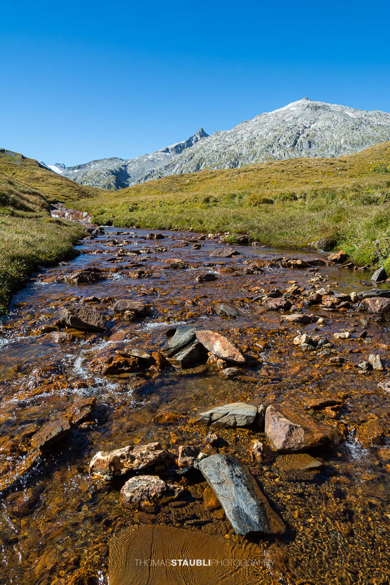 Bach Ri di Mutarasc auf der Alpe di Motterascio