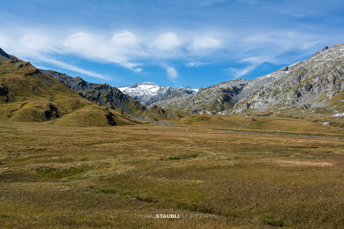 Weite Moor- und Graslandschaft der Alpe di Motterascio auf der Greina-Hochebene mit kleinen Wasserläufen, Tümpeln und umliegenden Bergzügen im Tessin.
