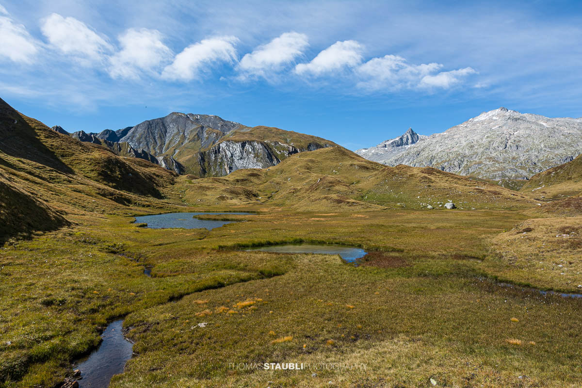 Weite Moor- und Graslandschaft der Alpe di Motterascio auf der Greina-Hochebene mit kleinen Wasserläufen, Tümpeln und umliegenden Bergzügen im Tessin.