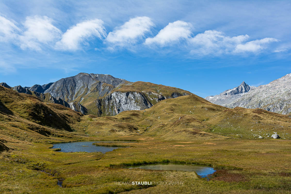 Weite Moor- und Graslandschaft der Alpe di Motterascio auf der Greina-Hochebene mit kleinen Wasserläufen, Tümpeln und umliegenden Bergzügen im Tessin.