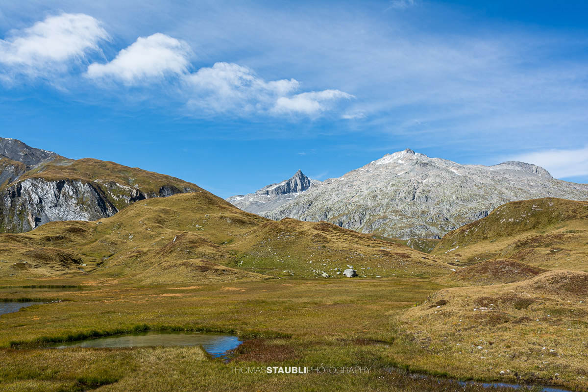 Weite Moor- und Graslandschaft der Alpe di Motterascio auf der Greina-Hochebene mit kleinen Wasserläufen, Tümpeln und umliegenden Bergzügen im Tessin.