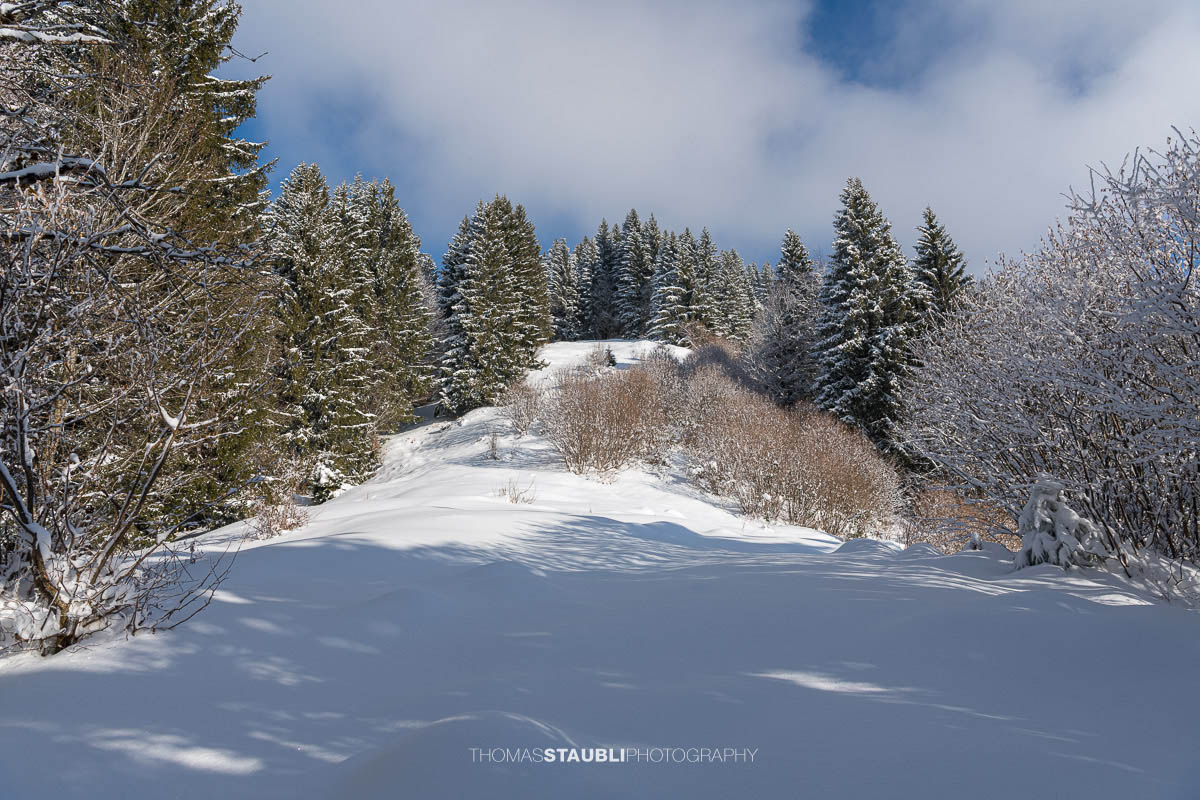 verschneite Landschaft im Wägital