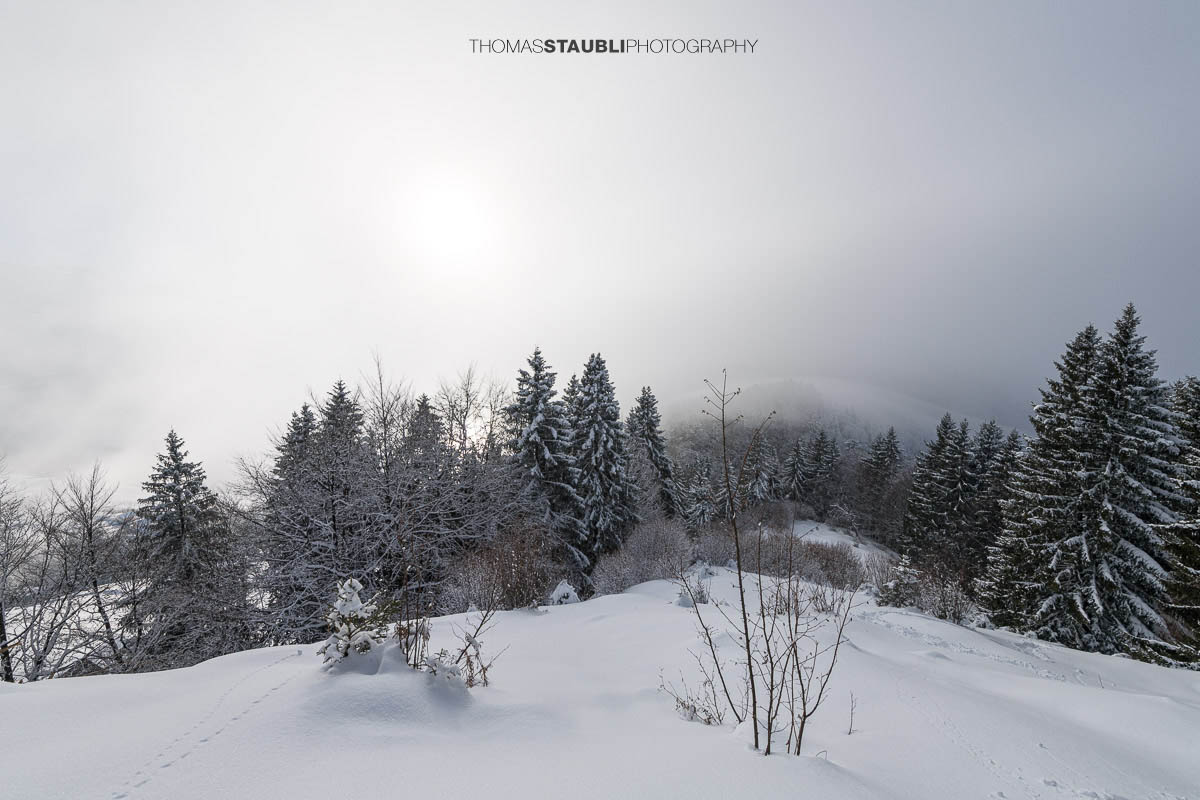 verschneite Landschaft im Wägital