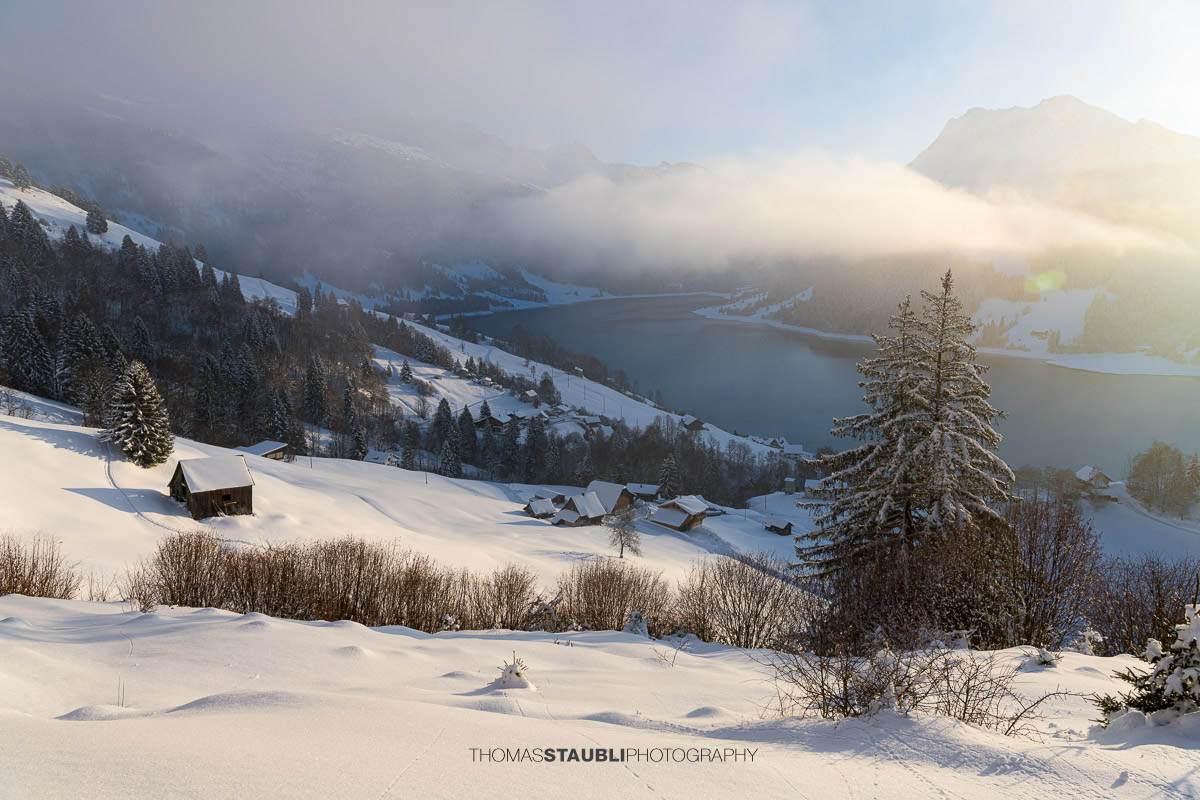 Verschneite Hügellandschaft oberhalb des Wägitalersees, im Hintergrund der Fluebrig teilweise im Nebel, Winterstimmung im Wägital, Kanton Schwyz.