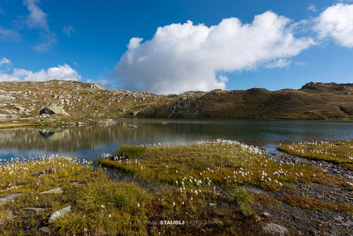 Die Laghi della Valletta in den Tessiner Alpen: klarer Bergsee mit türkisfarbenem Wasser, umgeben von heller Felslandschaft und alpinem Wollgras unter tiefblauem Himmel.