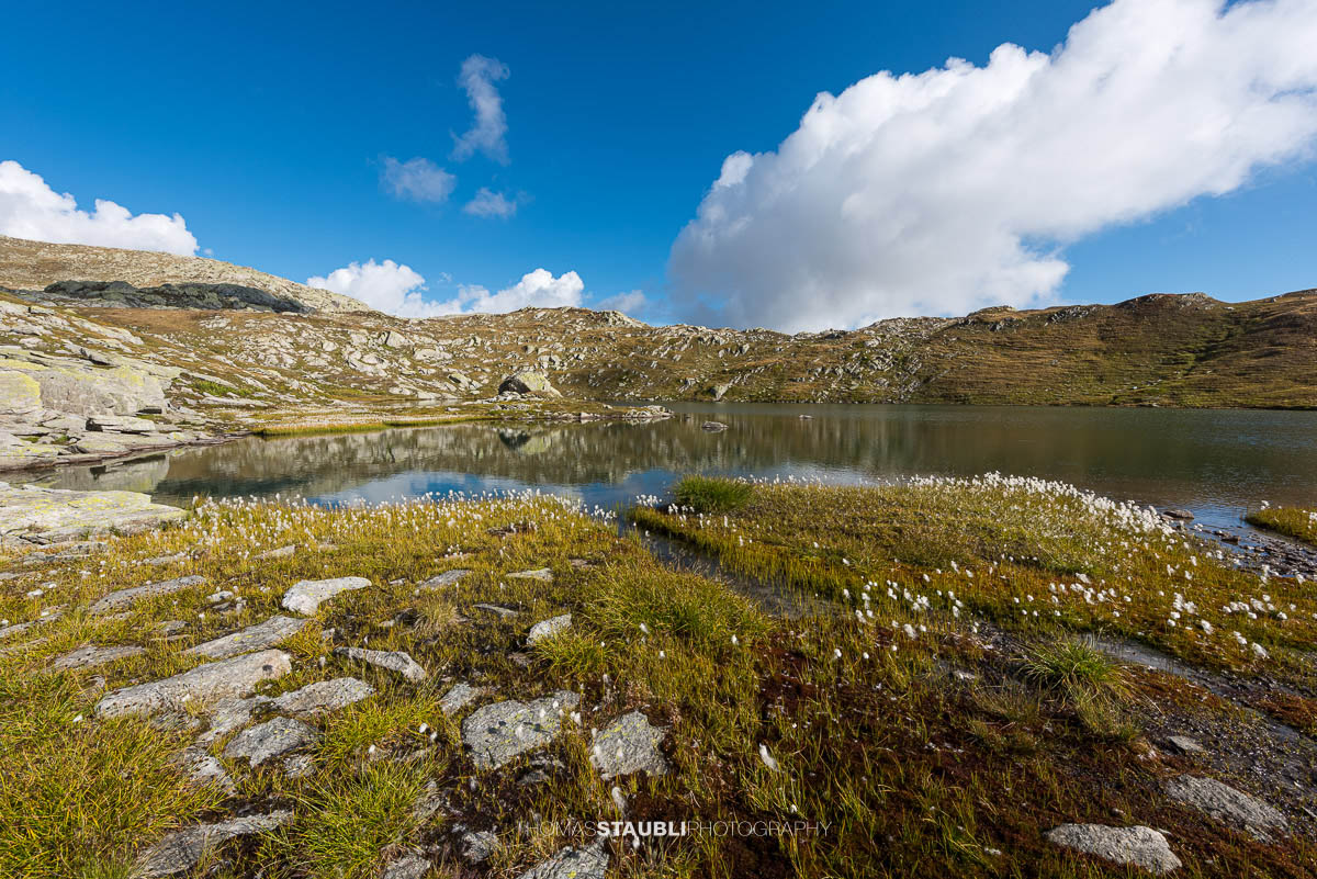 Die Laghi della Valletta in den Tessiner Alpen: klarer Bergsee mit türkisfarbenem Wasser, umgeben von heller Felslandschaft und alpinem Wollgras unter tiefblauem Himmel.