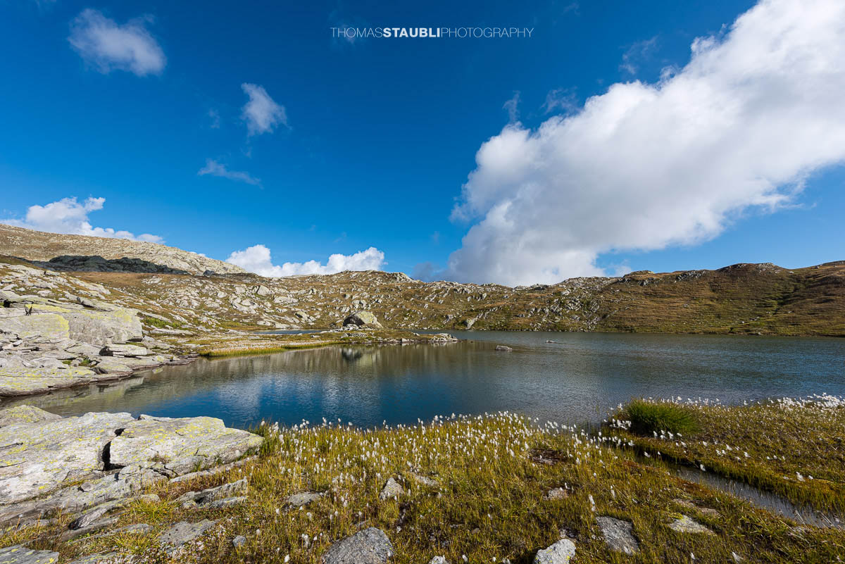Die Laghi della Valletta in den Tessiner Alpen: klarer Bergsee mit türkisfarbenem Wasser, umgeben von heller Felslandschaft und alpinem Wollgras unter tiefblauem Himmel.