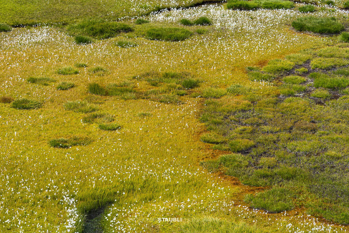 Moorlandschaft bei den Laghi della Valletta