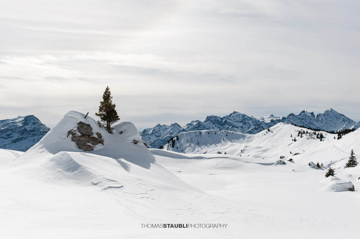 Verschneite Hügellandschaft bei der Hüenderegg oberhalb der Eggberge mit Blick auf die Urner Alpen.
