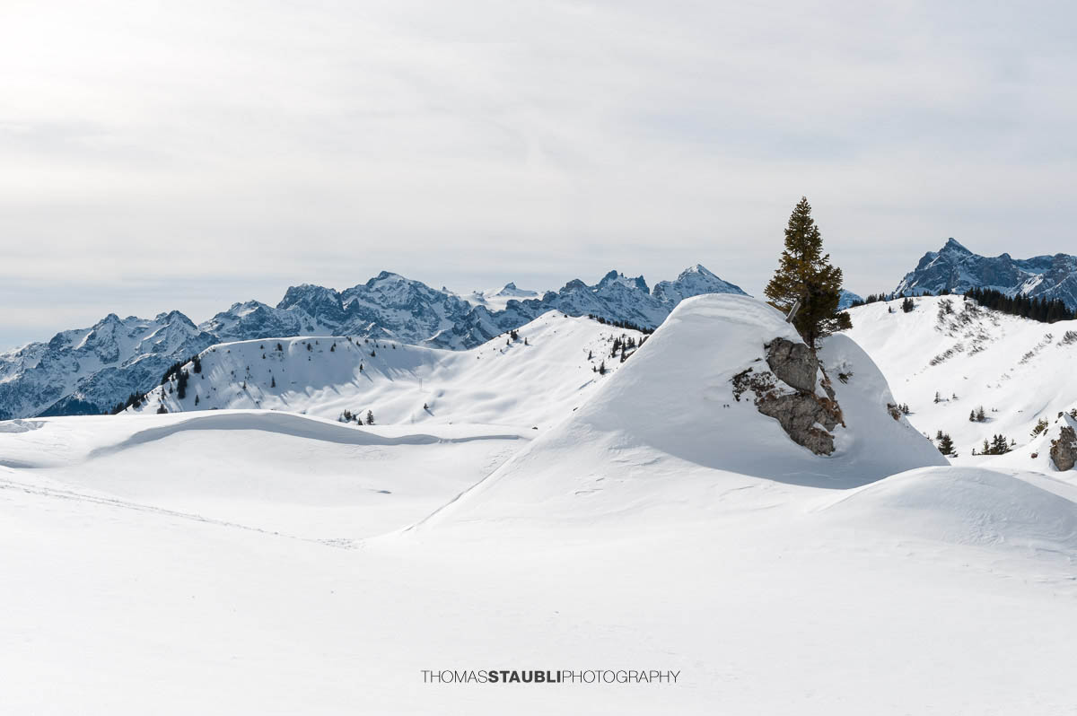 Verschneite Hügellandschaft bei der Hüenderegg oberhalb der Eggberge mit Blick auf die Urner Alpen.