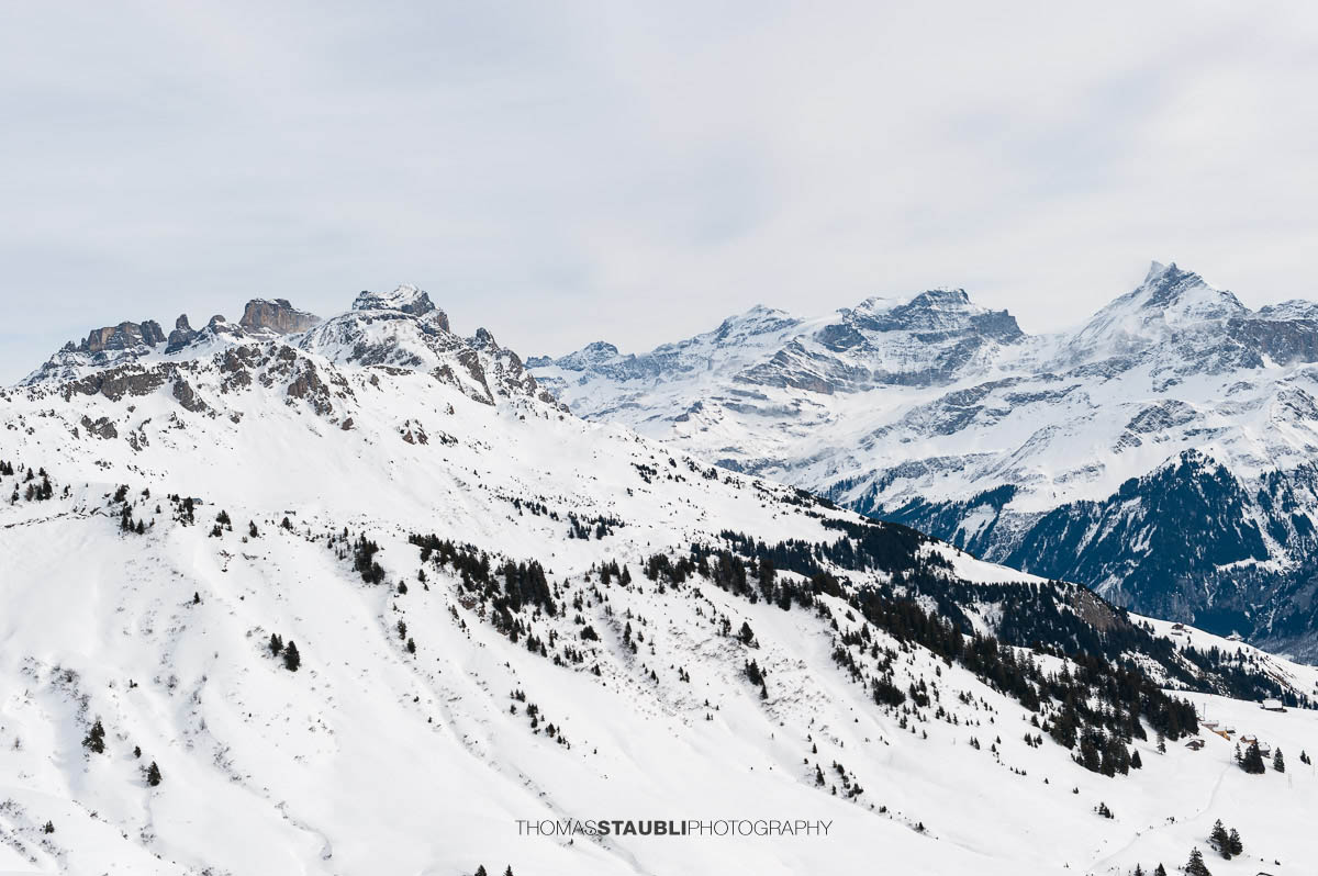 Urner Alpen mit Schächentaler Windgällen, Clariden und Gross- und Chli-Schärhorn