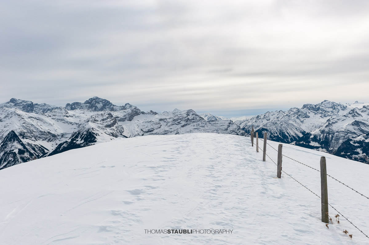 Blick von der Ganderegg zu den verschneiten Urner Alpen