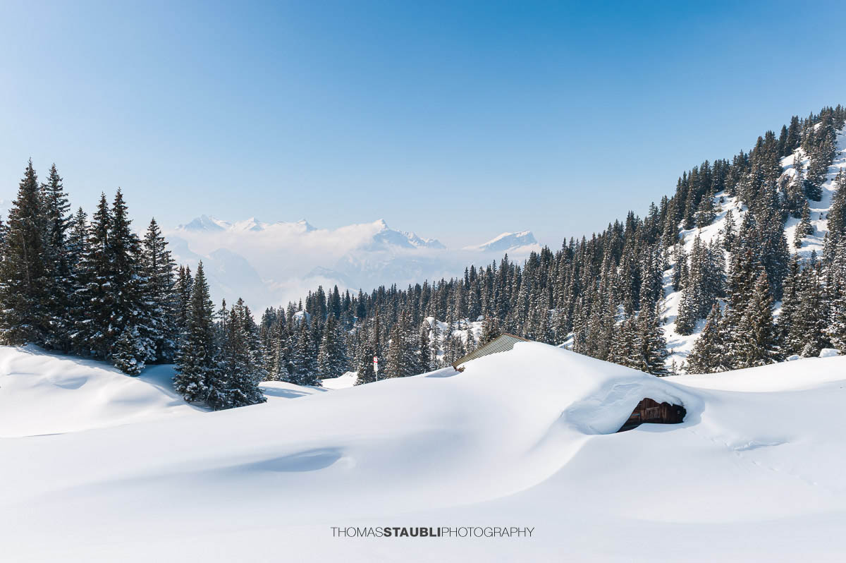 verschneite Winterlandschaft bei Biel-Kinzig