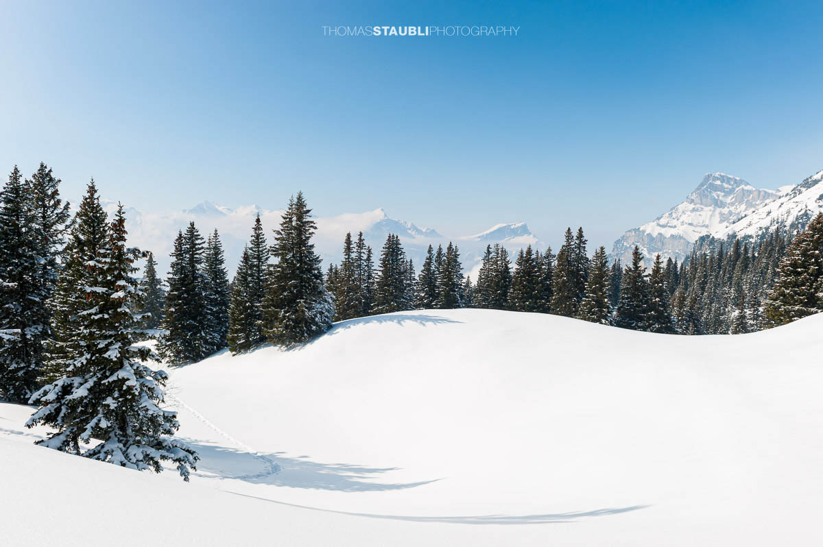verschneite Winterlandschaft bei Biel-Kinzig