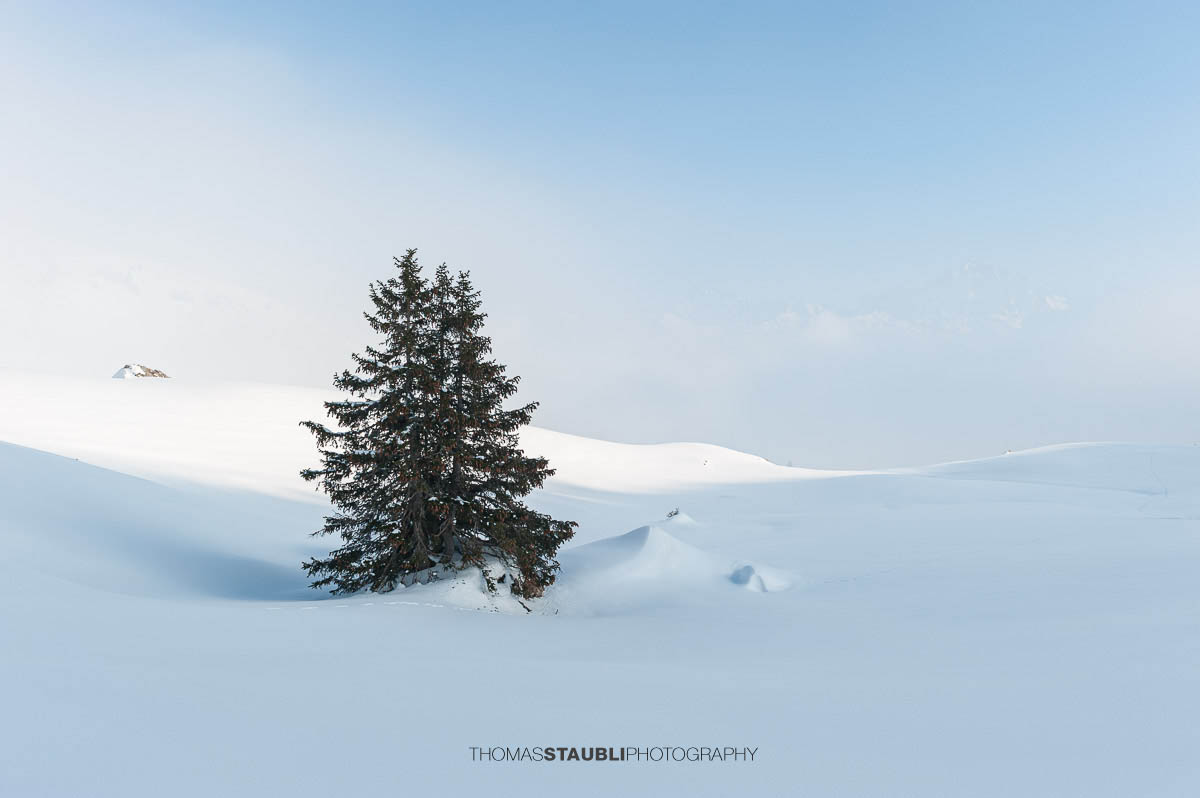 verschneite Winterlandschaft bei Biel-Kinzig