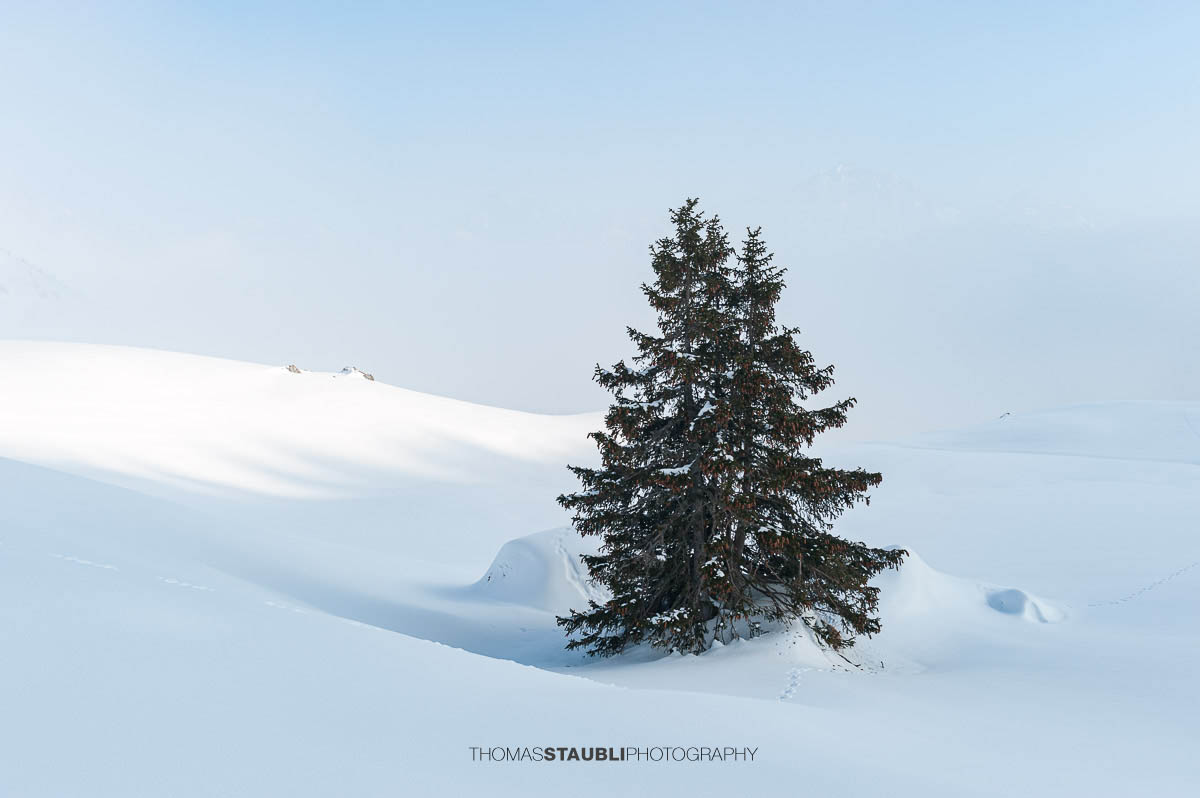 verschneite Winterlandschaft bei Biel-Kinzig