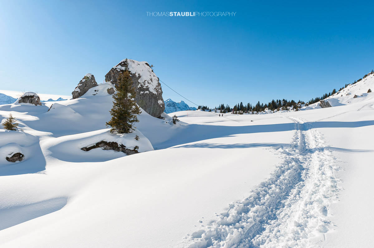 Schneeschuhpfad bei Chalberweid