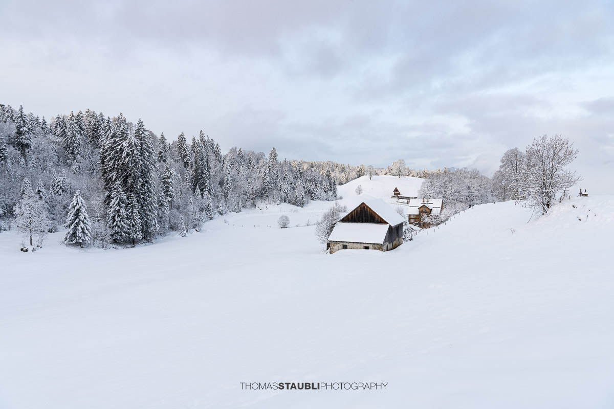 Verschneiter Bauernhof mit Wohnhaus und Nebengebäuden in sanfter Hügellandschaft, umgeben von schneebedeckten Bäumen im weichen Morgenlicht.