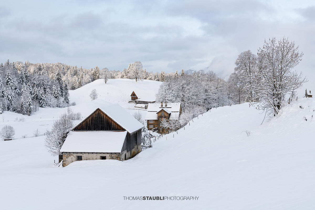 Verschneiter Bauernhof mit Wohnhaus und Nebengebäuden in sanfter Hügellandschaft, umgeben von schneebedeckten Bäumen im weichen Morgenlicht.
