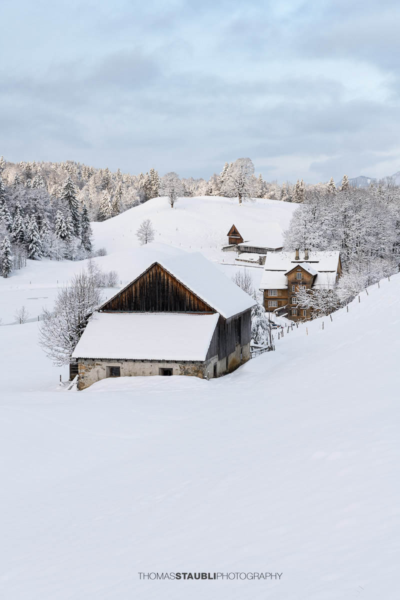 Verschneiter Bauernhof mit Wohnhaus und Nebengebäuden in sanfter Hügellandschaft, umgeben von schneebedeckten Bäumen im weichen Morgenlicht.