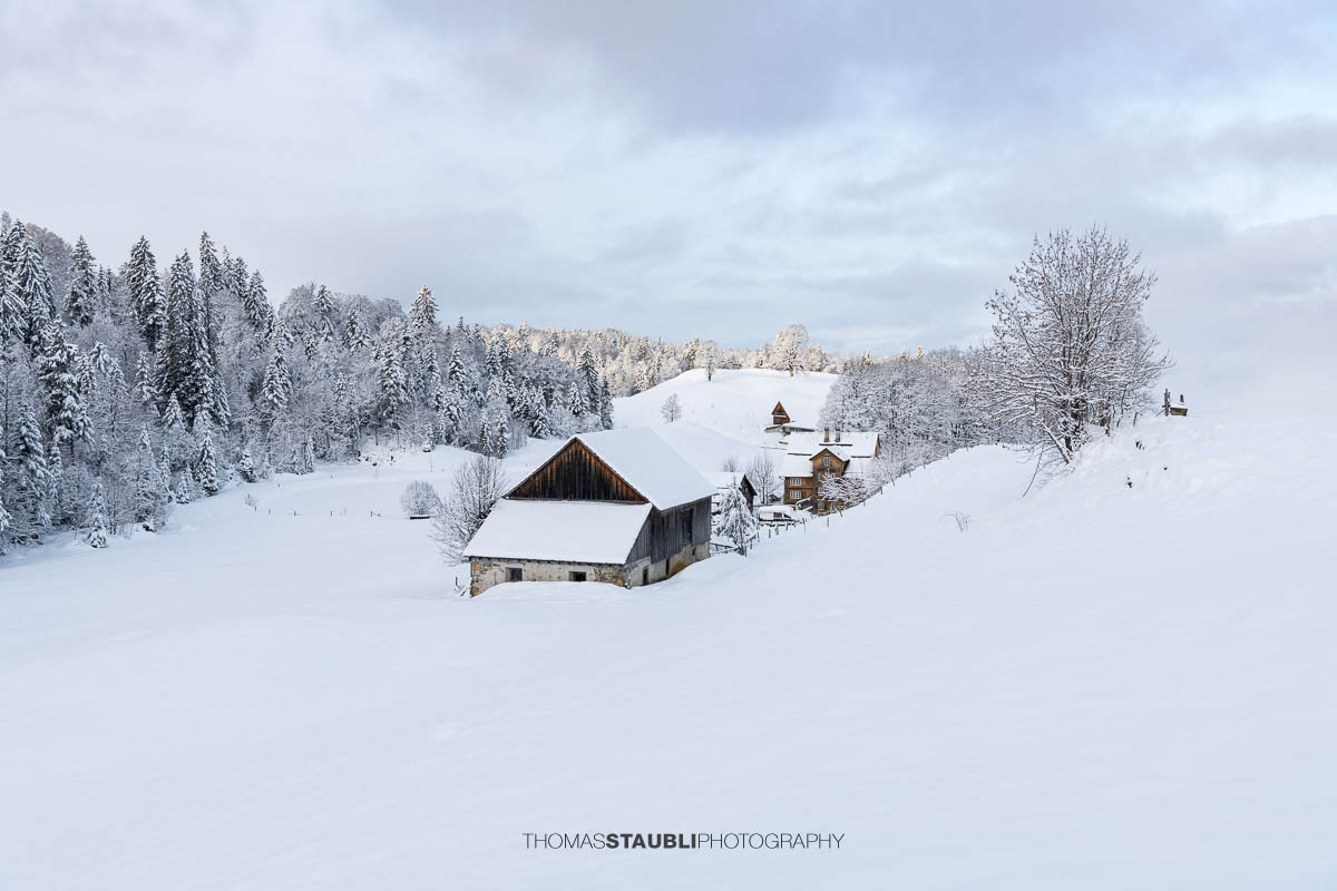 Verschneiter Bauernhof mit Wohnhaus und Nebengebäuden in sanfter Hügellandschaft, umgeben von schneebedeckten Bäumen im weichen Morgenlicht.