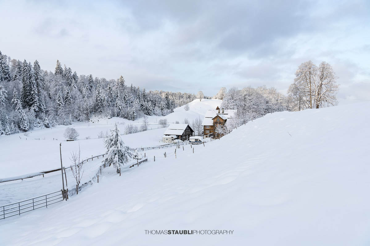 Verschneiter Bauernhof mit Wohnhaus und Nebengebäuden in sanfter Hügellandschaft, umgeben von schneebedeckten Bäumen im weichen Morgenlicht.