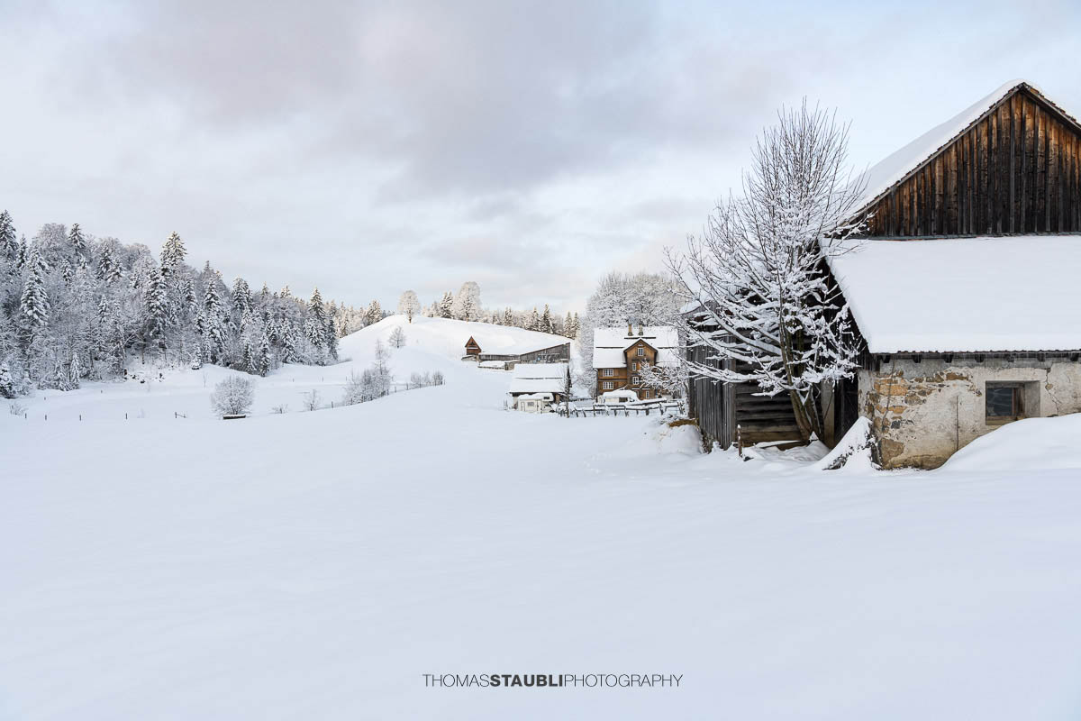 Verschneiter Bauernhof mit Wohnhaus und Nebengebäuden in sanfter Hügellandschaft, umgeben von schneebedeckten Bäumen im weichen Morgenlicht.