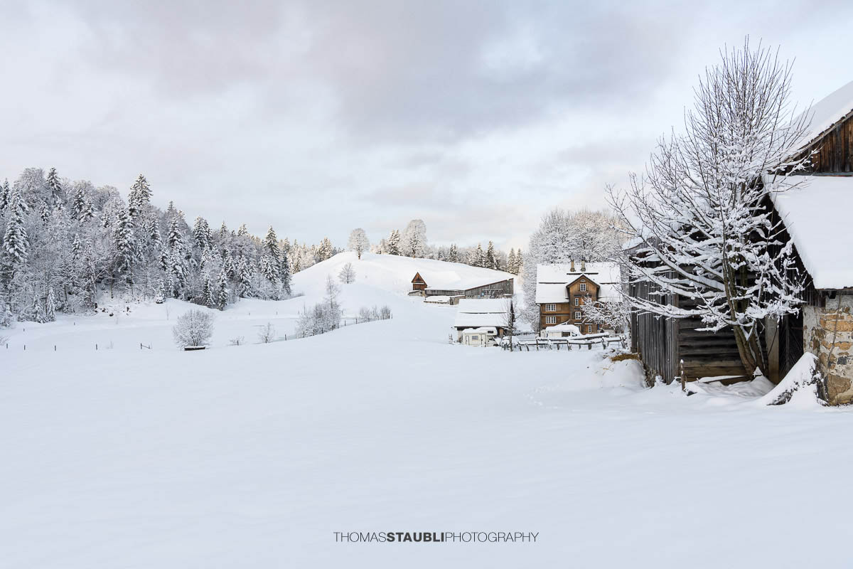 Verschneiter Bauernhof mit Wohnhaus und Nebengebäuden in sanfter Hügellandschaft, umgeben von schneebedeckten Bäumen im weichen Morgenlicht.