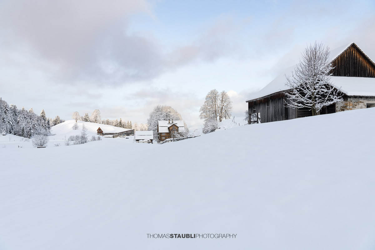Verschneiter Bauernhof mit Wohnhaus und Nebengebäuden in sanfter Hügellandschaft, umgeben von schneebedeckten Bäumen im weichen Morgenlicht.