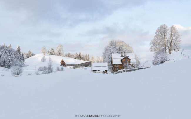 Verschneiter Bauernhof mit Wohnhaus und Nebengebäuden in sanfter Hügellandschaft, umgeben von schneebedeckten Bäumen im weichen Morgenlicht.