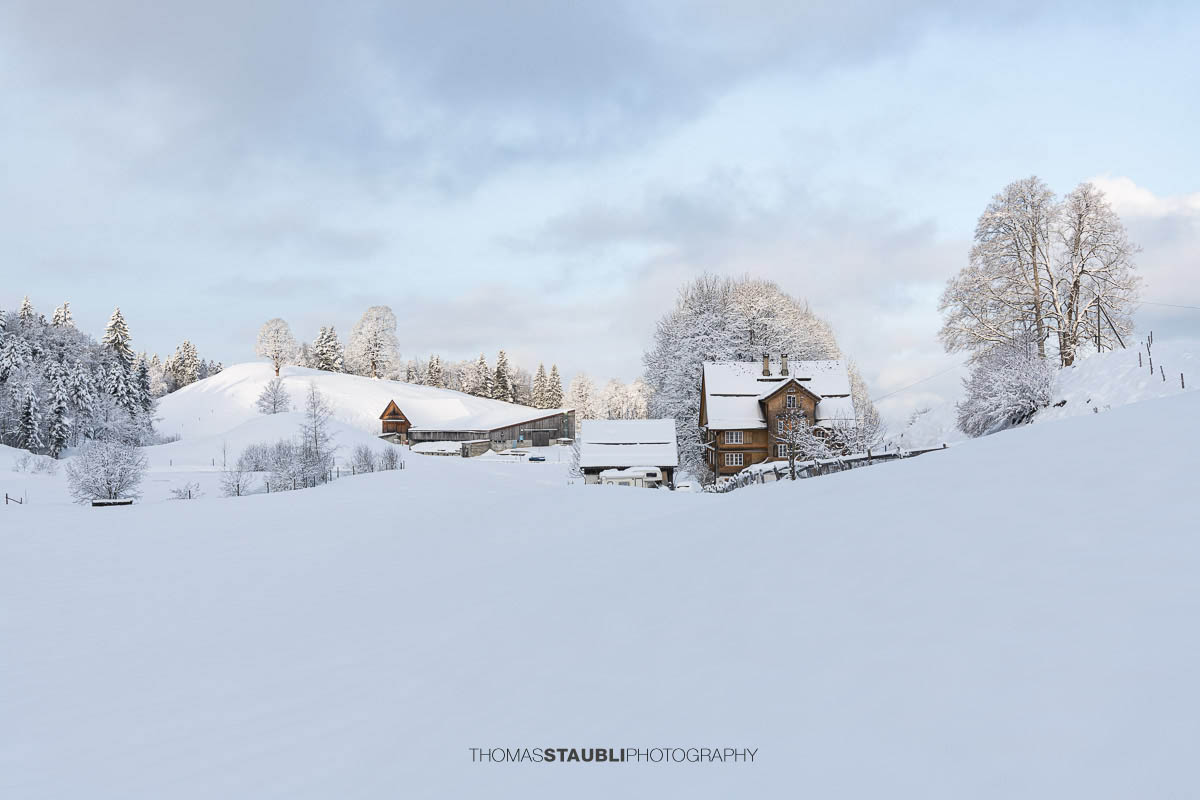 Verschneiter Bauernhof mit Wohnhaus und Nebengebäuden in sanfter Hügellandschaft, umgeben von schneebedeckten Bäumen im weichen Morgenlicht.