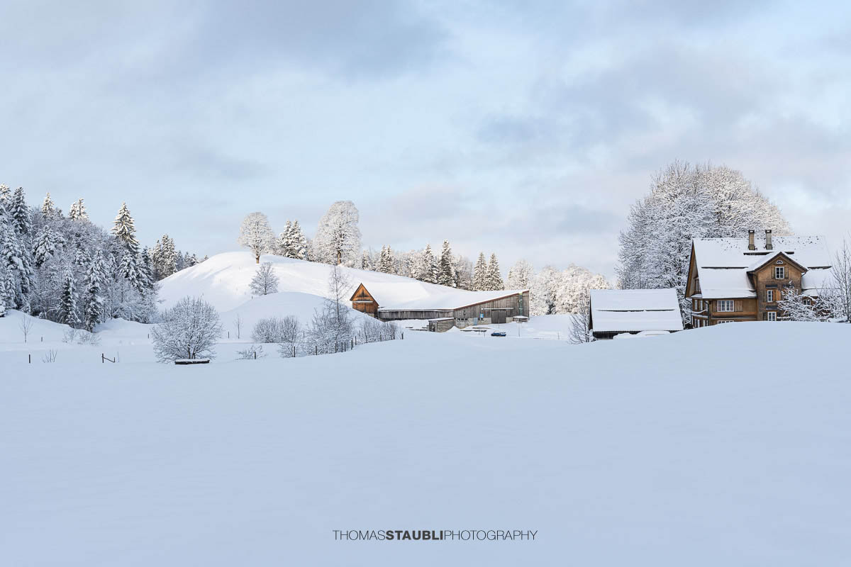 Verschneiter Bauernhof mit Wohnhaus und Nebengebäuden in sanfter Hügellandschaft, umgeben von schneebedeckten Bäumen im weichen Morgenlicht.