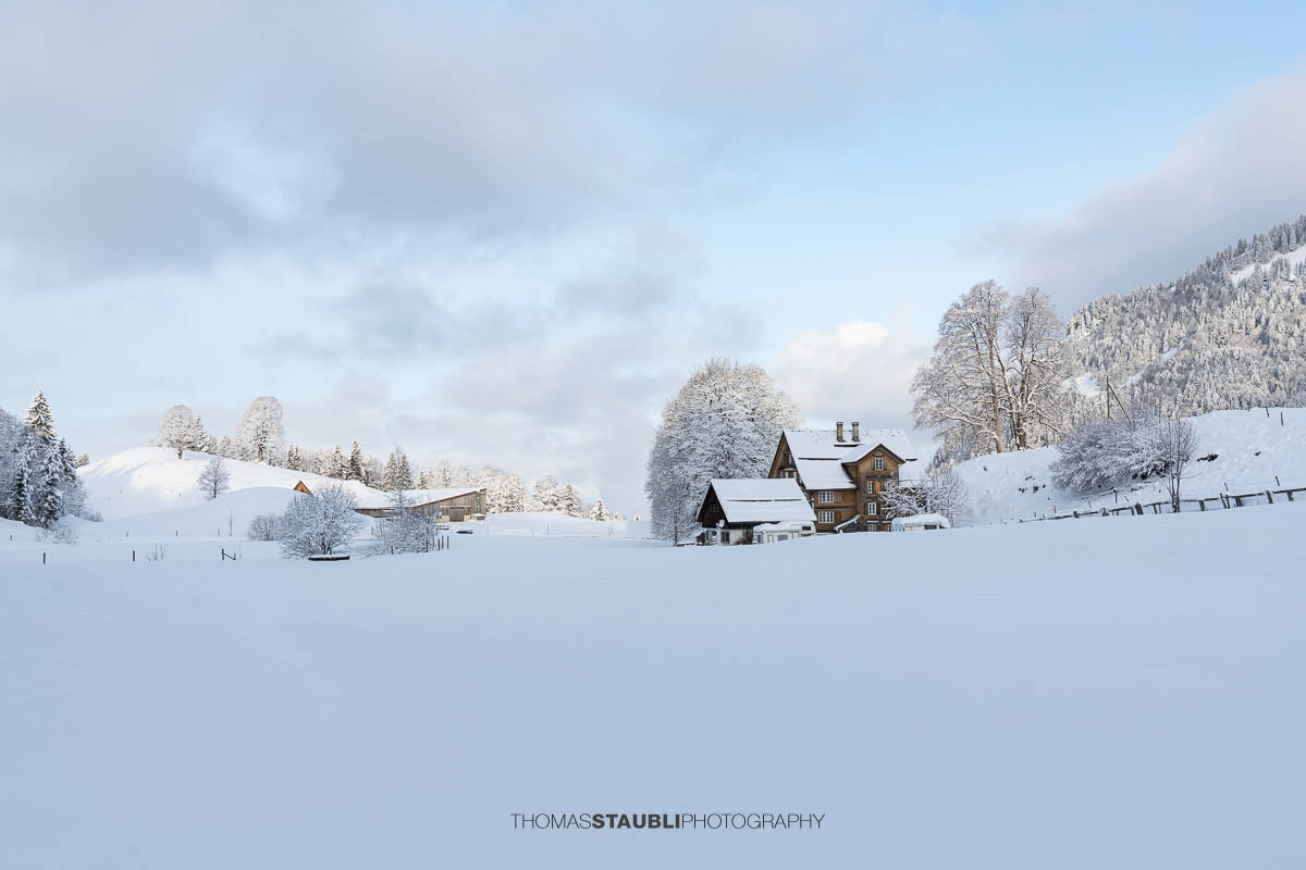 Verschneiter Bauernhof mit Wohnhaus und Nebengebäuden in sanfter Hügellandschaft, umgeben von schneebedeckten Bäumen im weichen Morgenlicht.