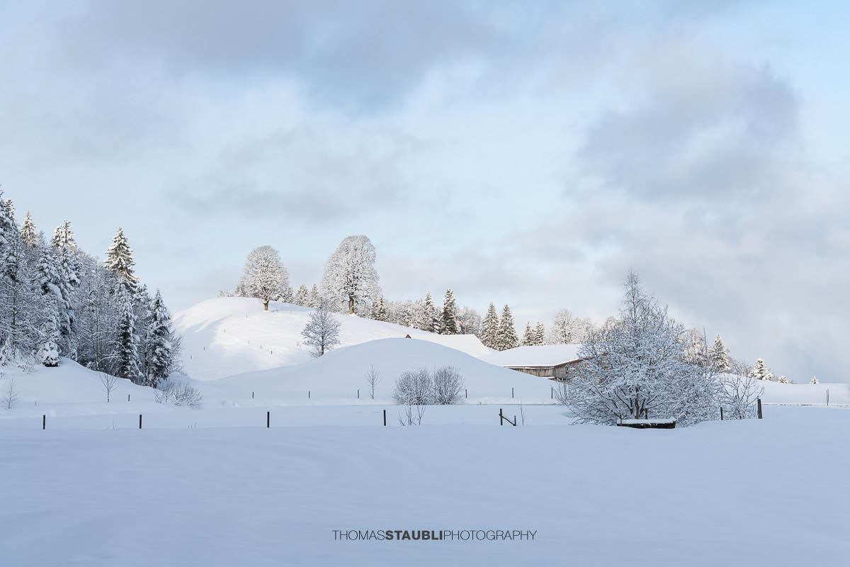 Teilweise zugefrorener Weiher mit Eisflächen und Schnee, umgeben von verschneiten Bäumen und sanften Hügeln im ruhigen Morgenlicht.