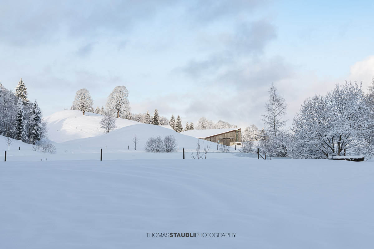 Teilweise zugefrorener Weiher mit Eisflächen und Schnee, umgeben von verschneiten Bäumen und sanften Hügeln im ruhigen Morgenlicht.