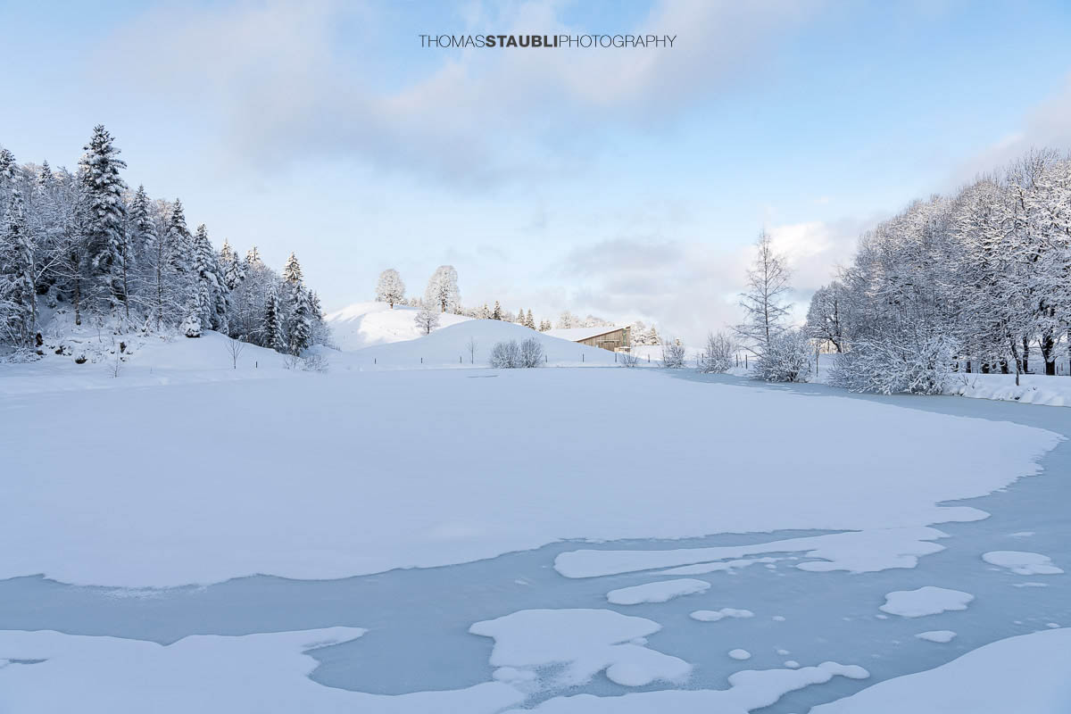 Teilweise zugefrorener Weiher mit Eisflächen und Schnee, umgeben von verschneiten Bäumen und sanften Hügeln im ruhigen Morgenlicht.