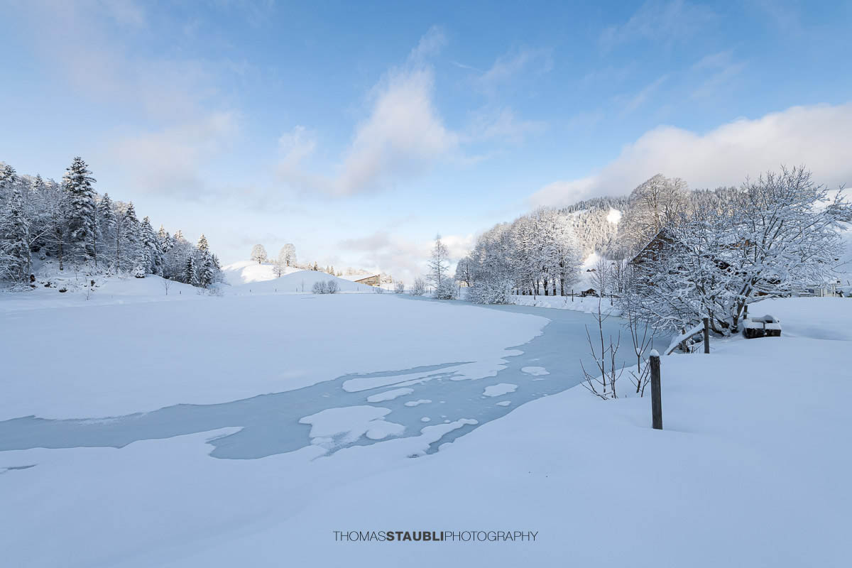 Teilweise zugefrorener Weiher mit Eisflächen und Schnee, umgeben von verschneiten Bäumen und sanften Hügeln im ruhigen Morgenlicht.