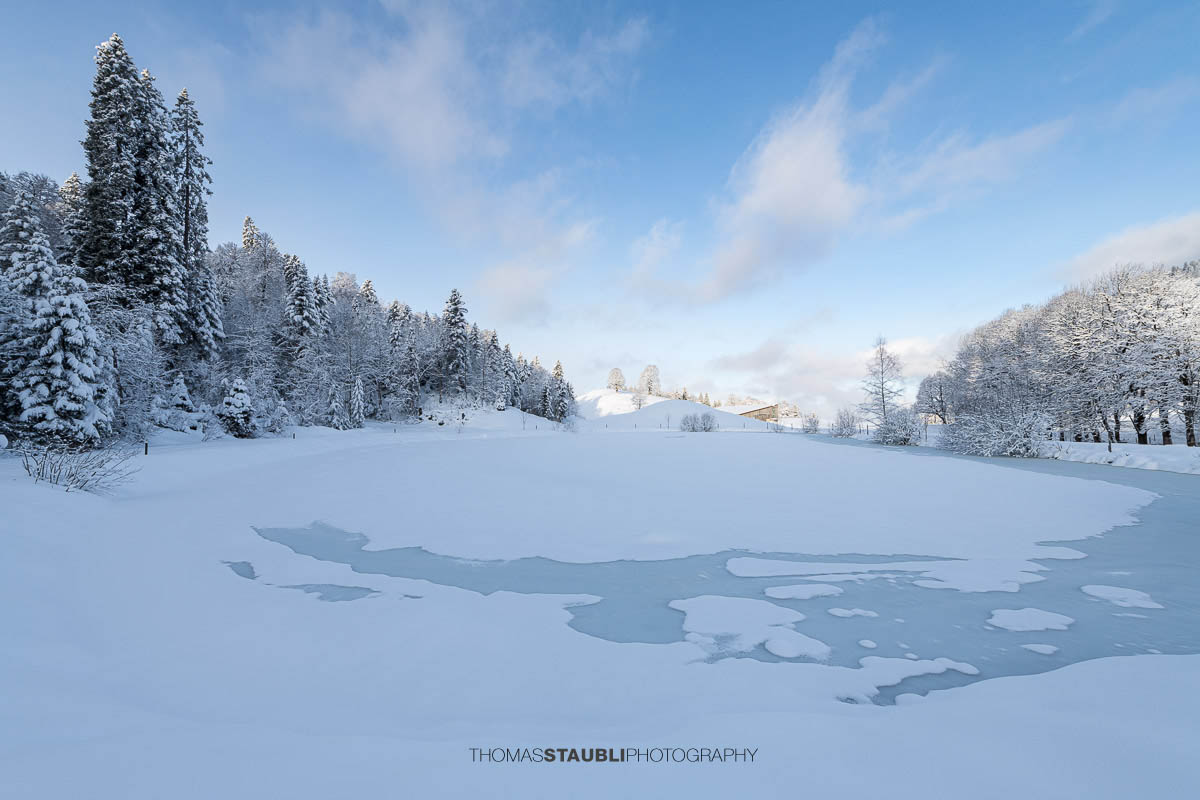 Teilweise zugefrorener Weiher mit Eisflächen und Schnee, umgeben von verschneiten Bäumen und sanften Hügeln im ruhigen Morgenlicht.
