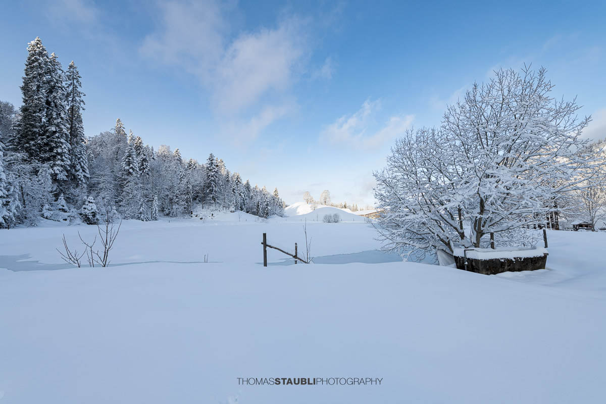 Teilweise zugefrorener Weiher mit Eisflächen und Schnee, umgeben von verschneiten Bäumen und sanften Hügeln im ruhigen Morgenlicht.