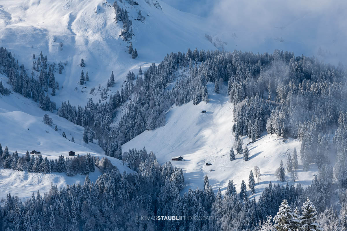 Verschneite Bergflanken im Muotatal über aufziehendem Nebel und winterlichem Wald.