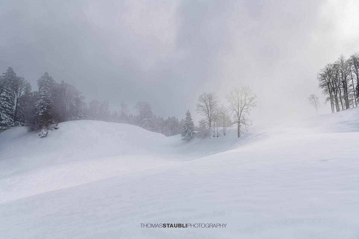 Sanfte, verschneite Hügel im Vorder Oberberg bei Illgau mit verschneiten Bäumen und diffusem Licht am Himmel.