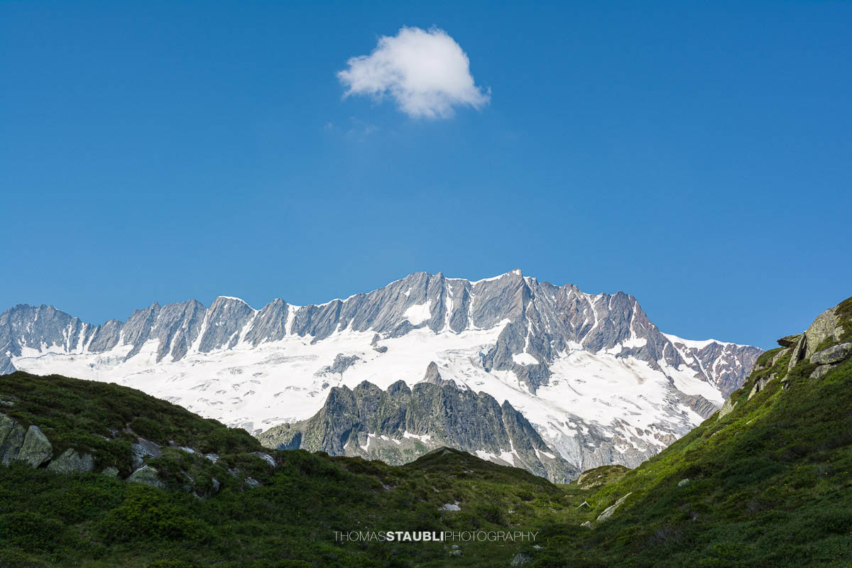 Dammastock unter blauem Himmel