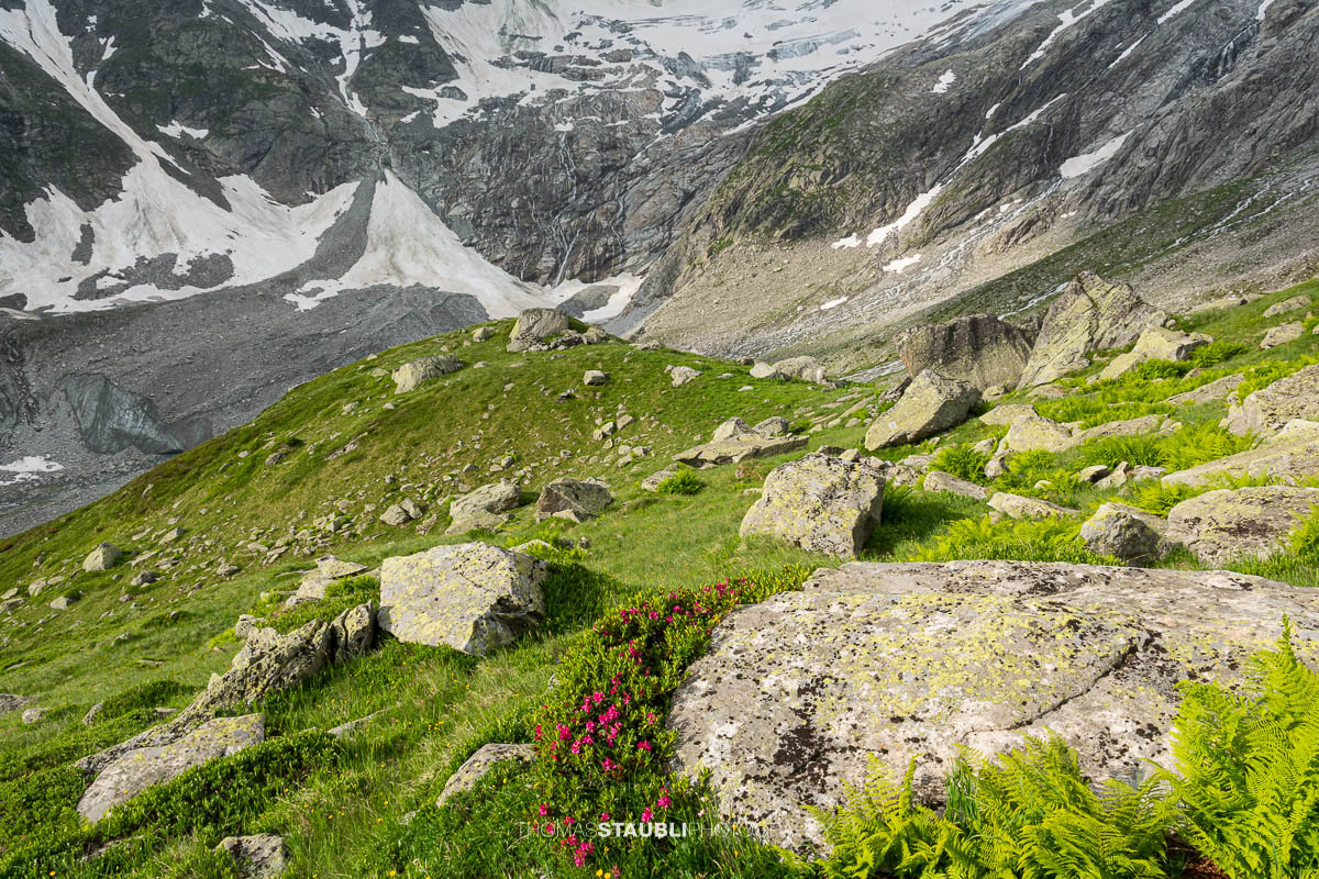 Blick zum Dammagletscher im Kanton Uri im Jahr 2013, schmelzendes Eis mit freigelegten Felsstrukturen und Wasserläufen über steiler Gletscherflanke.