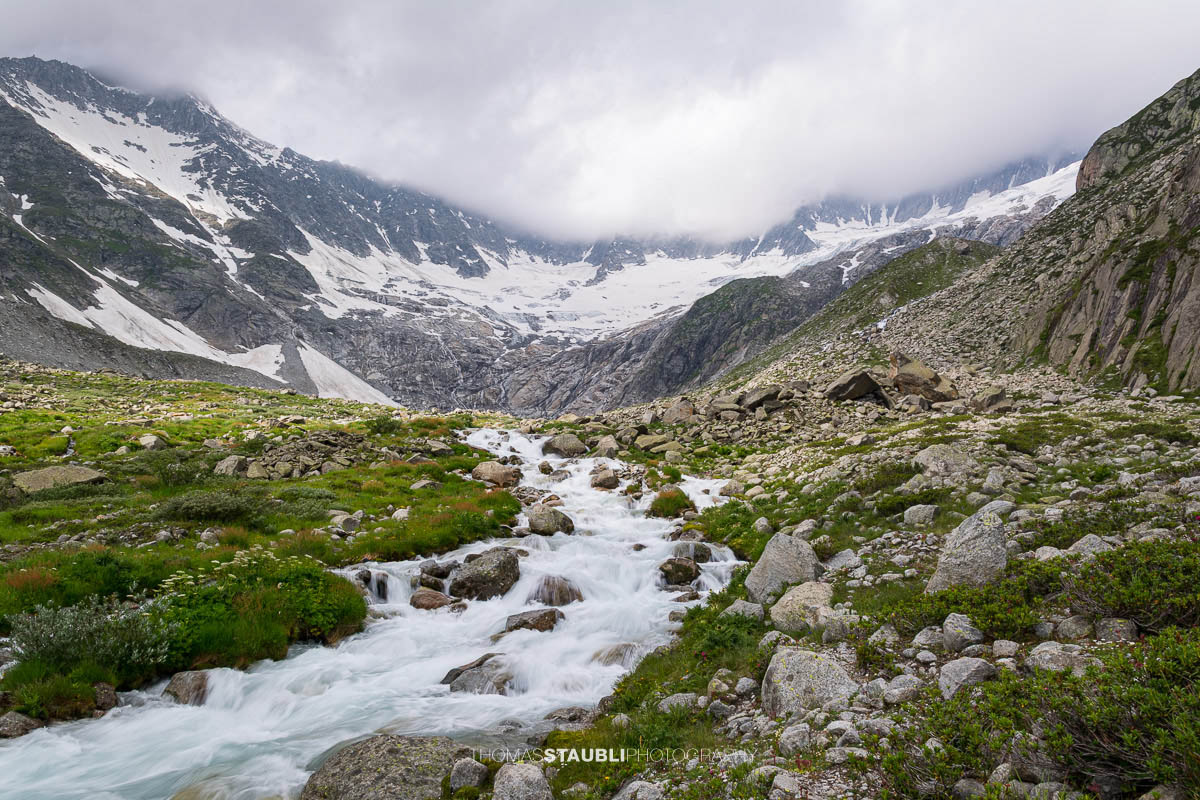 Dammareuss im Göschenertal im Kanton Uri, klarer Gebirgsbach zwischen Felsen und alpiner Vegetation mit Blick Richtung Dammagletscher.