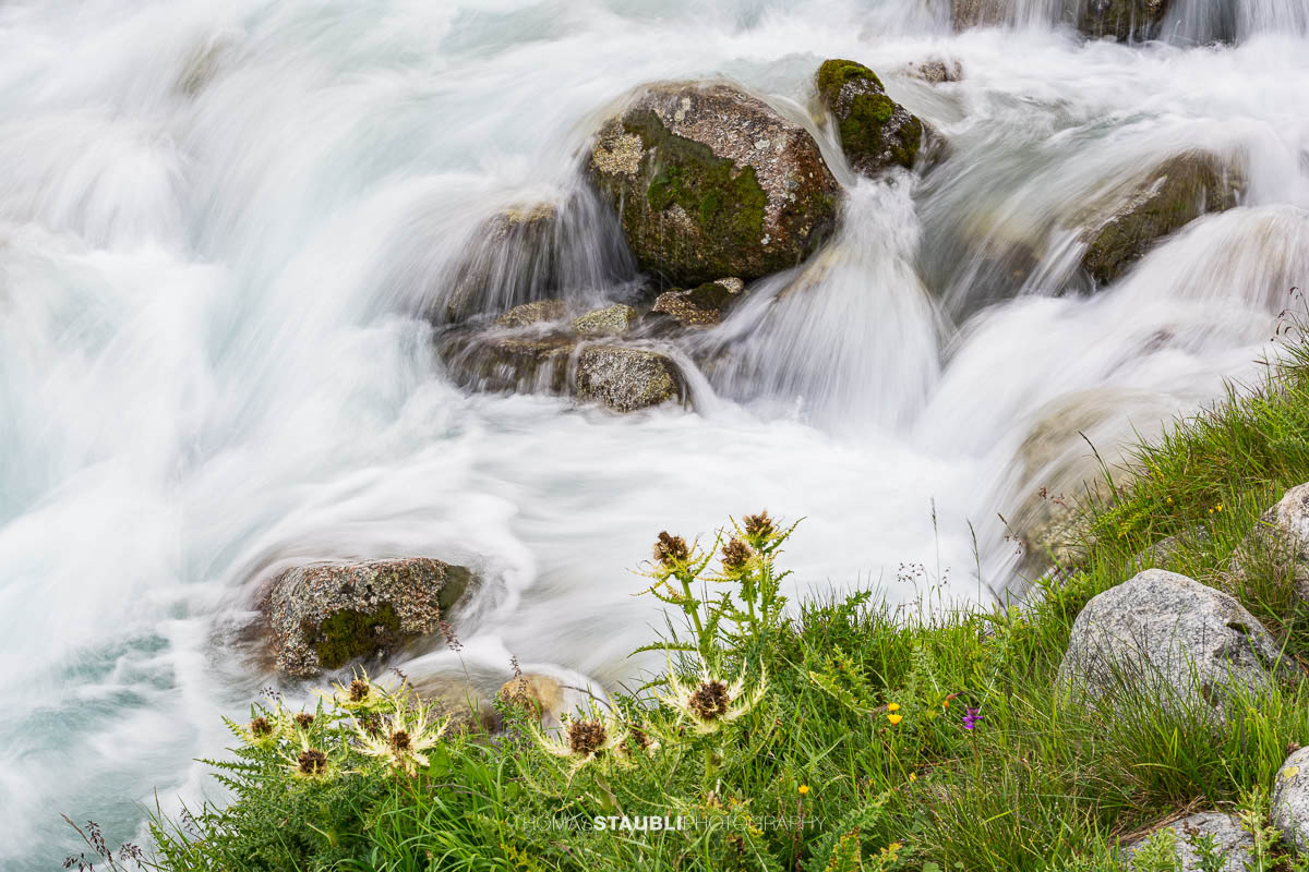 Dammareuss im Göschenertal im Kanton Uri, klarer Gebirgsbach zwischen Felsen und alpiner Vegetation.